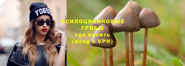 винт Дмитров