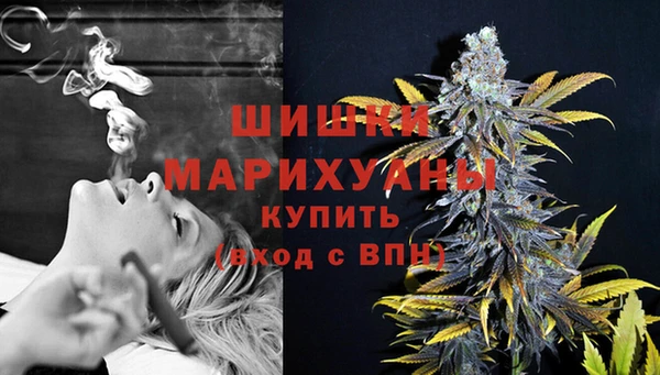 винт Дмитров