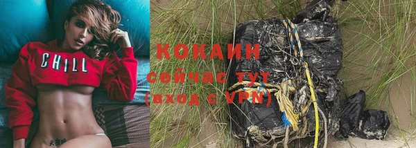 винт Дмитров
