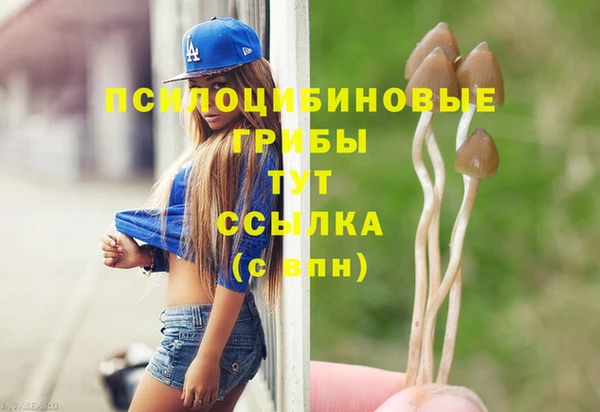 spice Дмитровск