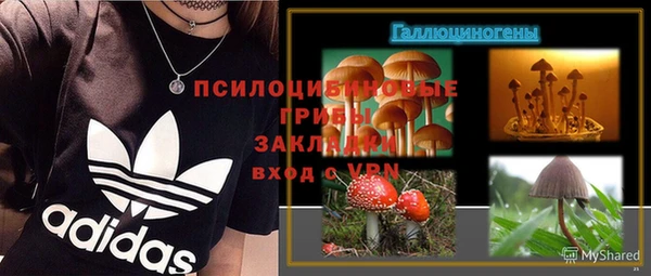 spice Дмитровск