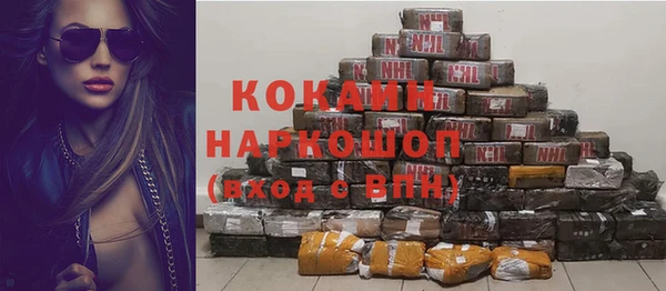 винт Дмитров